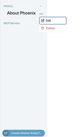 Chat Detail View